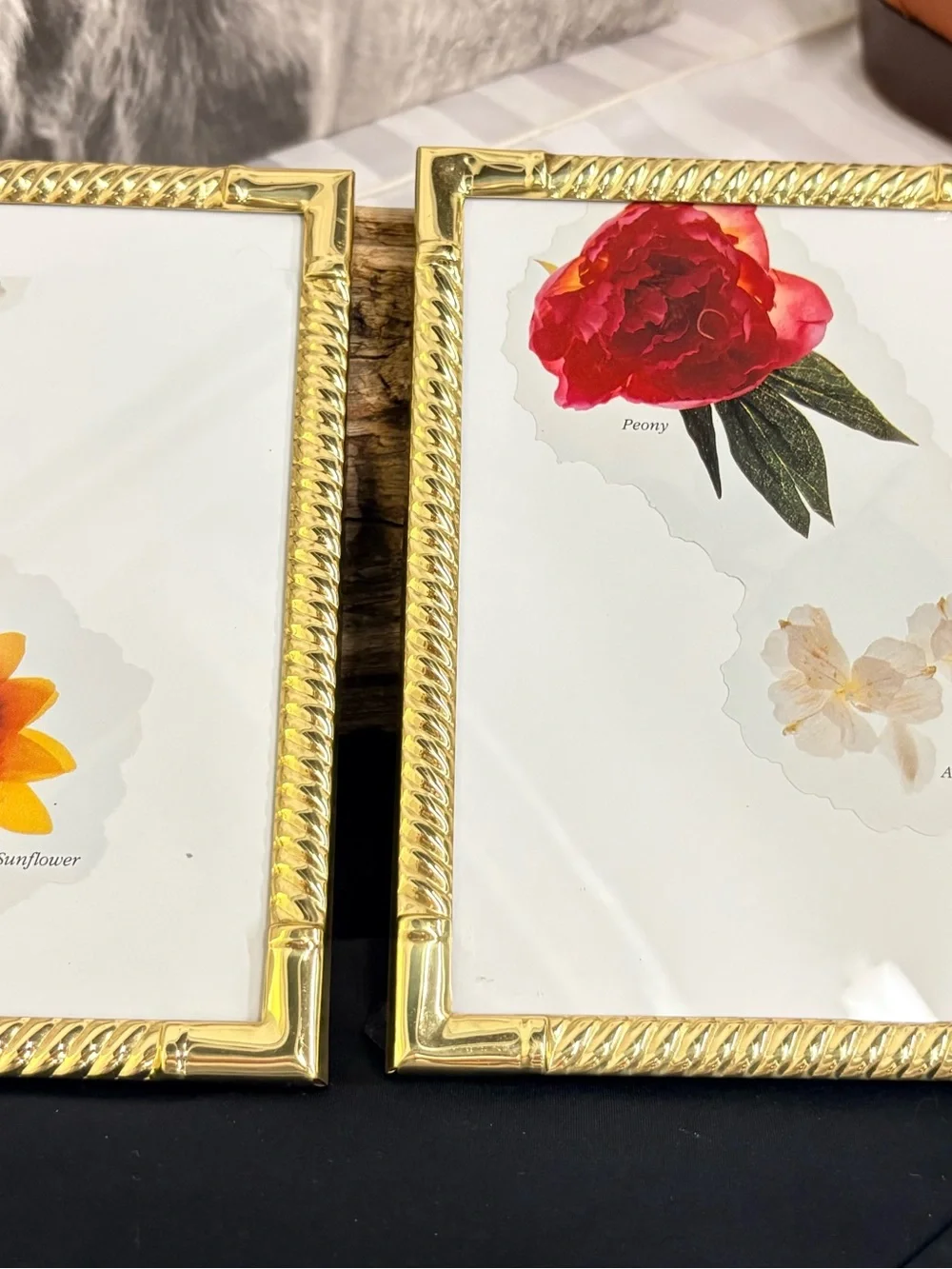 2 Gold Rope-Edge Photo Frames 5x7 Vintage - White Insert